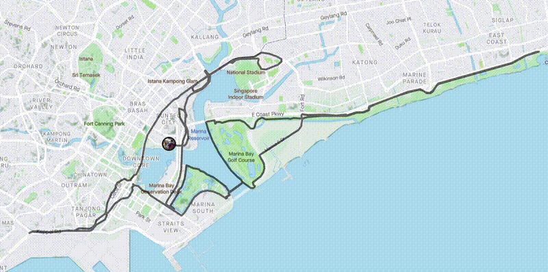 Singapore marathon 2022